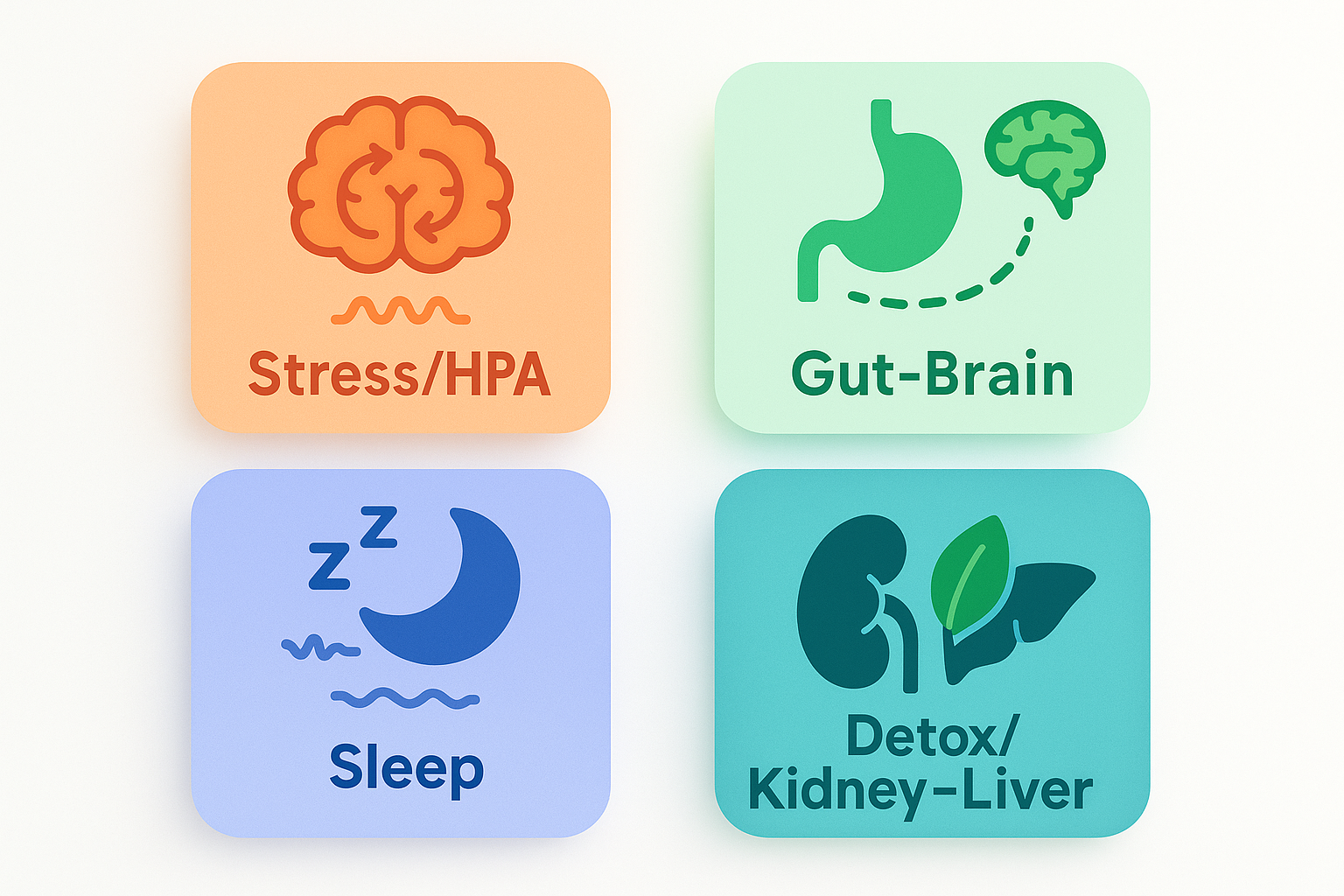 Overview pillars: Stress/HPA, Gut–Brain, Sleep, Detox/Kidney–Liver