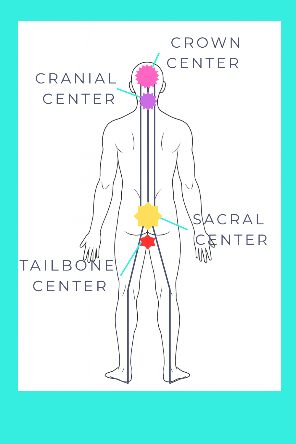 Four key energy centers along the spine and cranial base